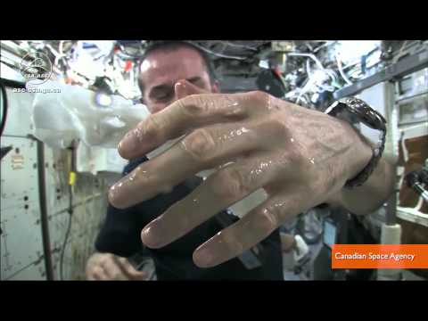 Astronaut Demonstrates How to Wring Out a Washcloth in Space