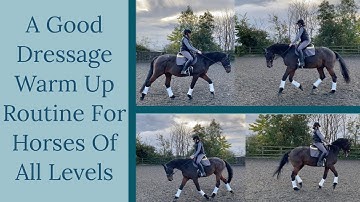 Dressage Warm Up Routine For All Horses