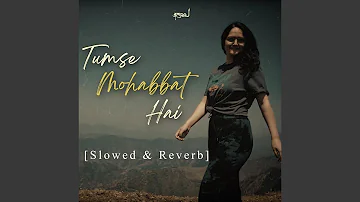 Tumse Mohabbat Hai (Slowed & Reverb)