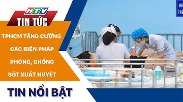 TP.HCM TĂNG CƯỜNG CÁC BIỆN PHÁP PHÒNG, CHỐNG SỐT XUẤT HUYẾT | HTV Tin Tức