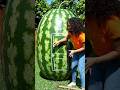 I Built a Secret $100,000 Underground Bunker Inside a GIANT Watermelon! 🍉🤫 #shorts #satisfying