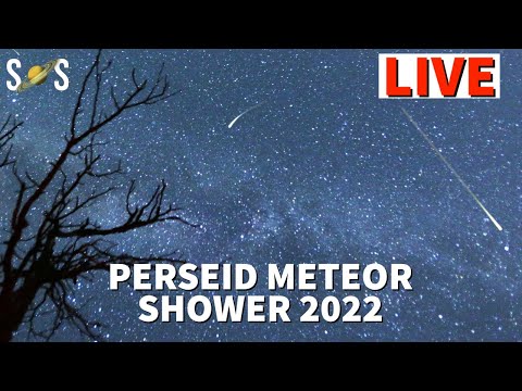 ペルセウス流星群 2022 ライブ