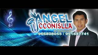 Angel El Idolo Juvenil - Para Que Miel - Carnaval 2019