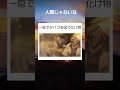 一息でタバコを吸う化け物 #twitter #shortsfeed
