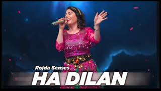 Rojda Şenses / Ha Di̇lan