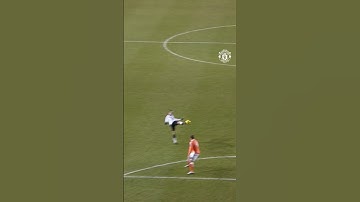 Is There Anyone With A Better First Touch Than Dimitar Berbatov? 🤯