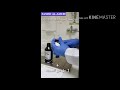 Thick And Thin BLOOD FILM Staining By Giemsa Stain طريقة تحضير الصبغه وصبغ مسحة الدم 