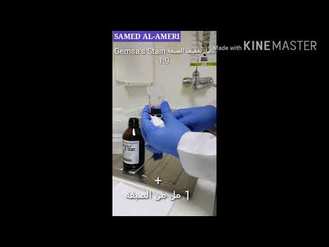          طريقة تحضير الصبغه وصبغ مسحة الدم