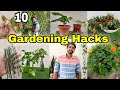 10 gardening hacks you can do in rainy season  the one page