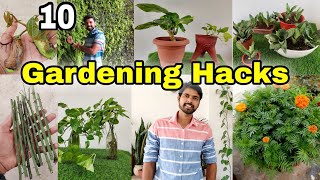 10 Gardening hacks you can do in Rainy Season | The One Page