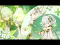 Kawaii_Nahida_ZONE