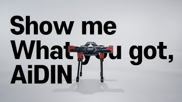 Show me what you got, AiDIN-VI