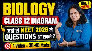 Biology Class 12 All Diagrams जहाँ से NEET 2026 में Question आ सकता है by Dr Shivali Balani