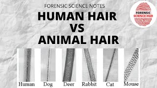 Human Hair Vs Animal Hair | Forensic Science Notes