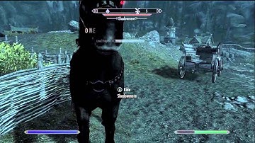 Elder Scrolls V Skyrim Level 100 One Handed/ Two Handed Guide