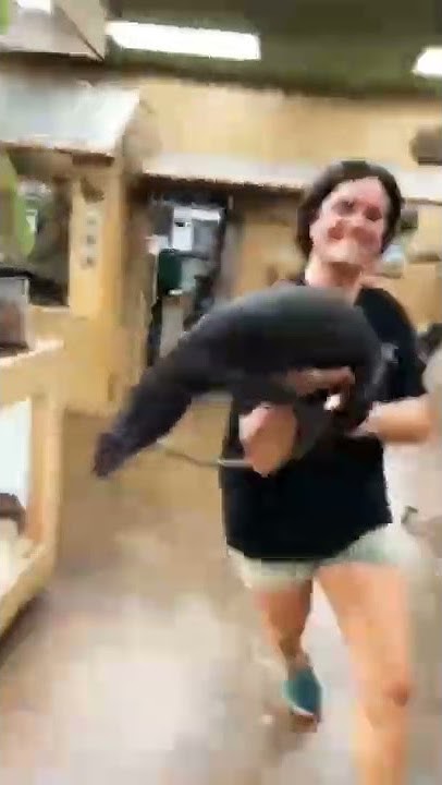 moving-giant-black-dragon-lizard-shorts-youtube