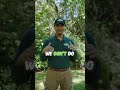 Why Pest Control Keeps Failing Columbus Homeowners | Custom Treatment Plans Explained