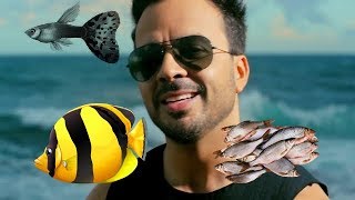 Lets Play - Part 33 | [DESPACITO ASMR] Insaniquarium Deluxe Speedrun [TAS] (~ 2:30)