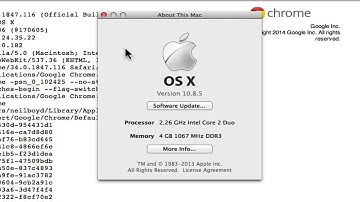 Crash - TechSmith SnagIt for Chrome version 34 Mac