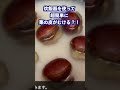 発見!【炊飯器】使って【超簡単な栗の皮のむき方】同時に栗ご飯もできちゃうよ! #栗の皮のむき方#栗ご飯#炊飯器