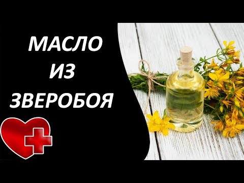 Как приготовить масло из зверобоя! Ценное средство для лечения всей семьи