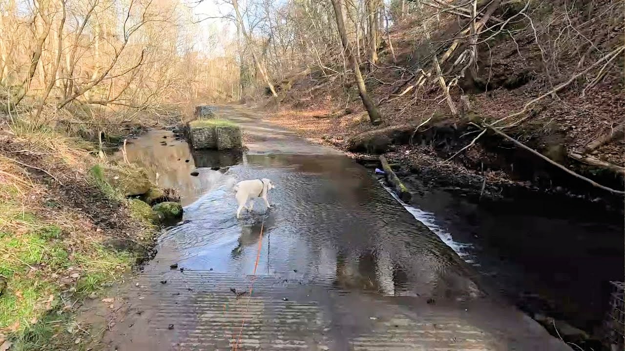 The West Fife Way from Oakley and back on my mobility scooter with my dog Olly 15 03 2025
