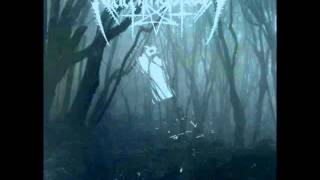Nachtmystium - Bleed for Thee