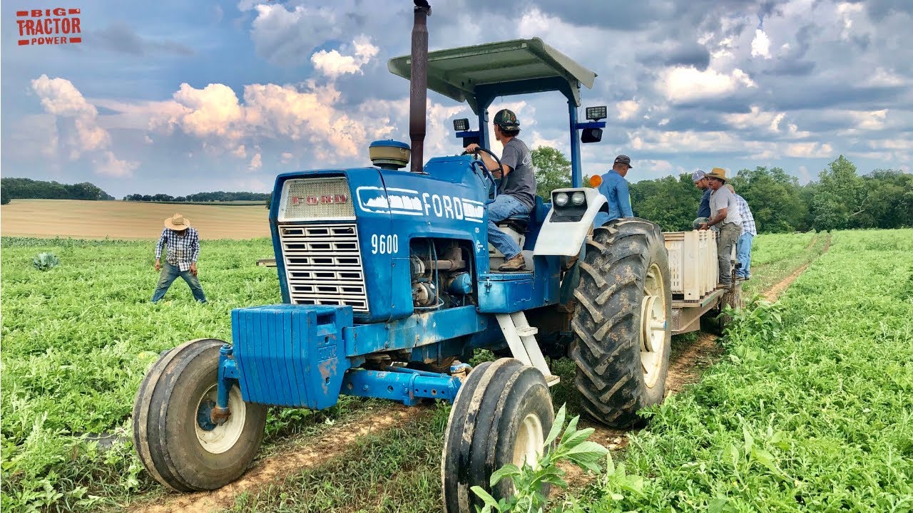 FORD 9600 Tractor Harvesting Watermelons YouTube ford-9600-tractor-harvesting-watermelons-youtube
