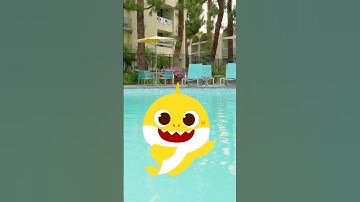 Did someone say Baby Shark? #heytenny #shorts