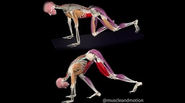 Thumbnail of The different variations and goals of the MOUNTAIN CLIMBERS ⛰️