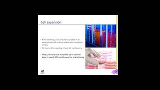 Cell Culture 101: Tips for Successful Cell Culture Webinar