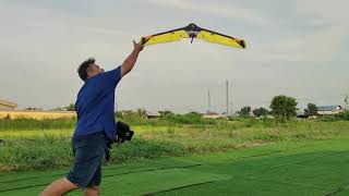 Flying Wing Freestyle Rc plane
