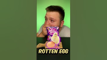 (1 or 2) Harry Potter Beans 🤮