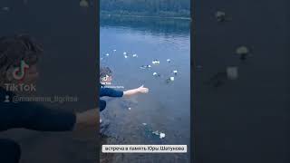 #ЮраШатунов встреча в память Юрия Шатунова