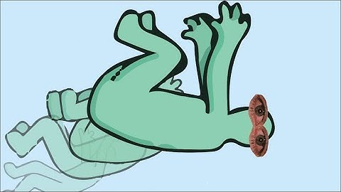 48 Fps Animation Of A Guy Doing A Backflip