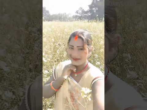 holi hindi song com