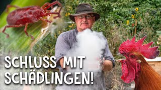 Hygiene im Hühnerstall 🐔 - So kann man Hühner vor Schädlingen schützen!