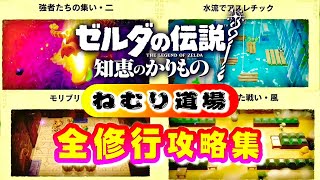 【ゼルダの伝説 知恵のかりもの】ねむり道場 全15修行 攻略集【ボスバトル】