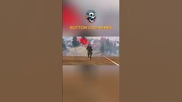 trolling noobs with memes codm BR memes.exe