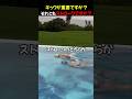 キック vs ストローク、水泳するときどちらがより重要ですか？