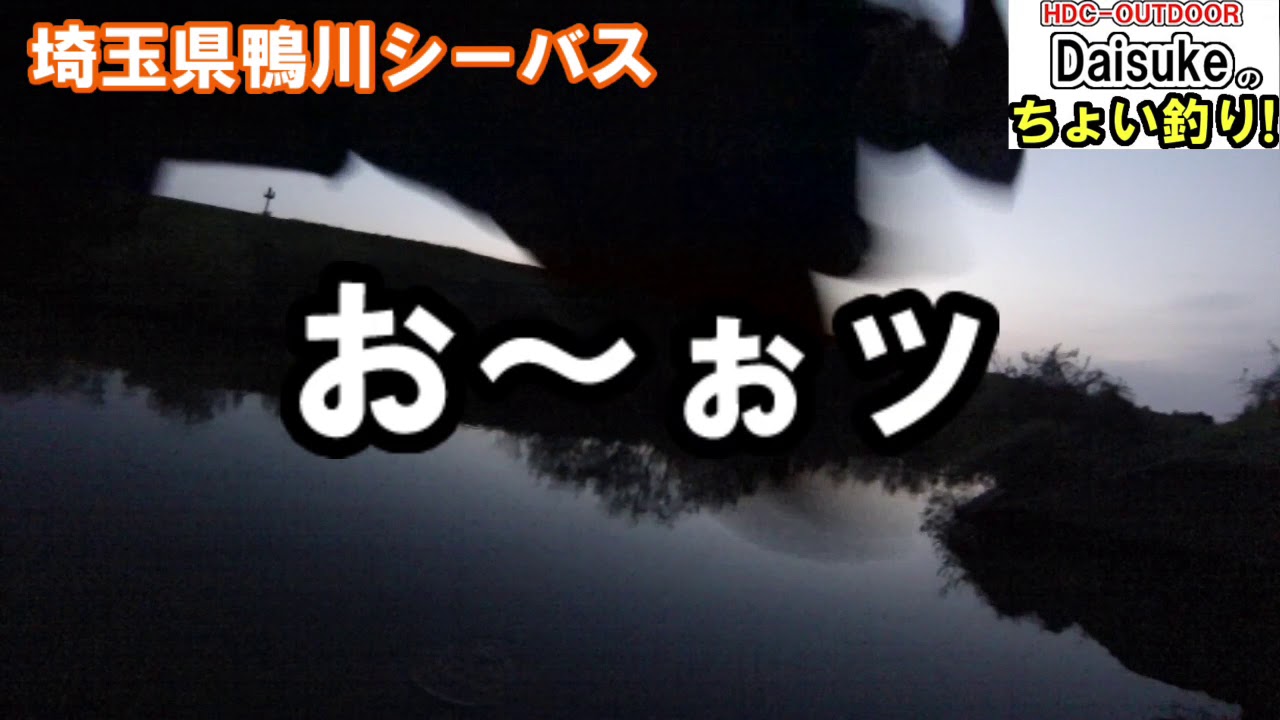 埼玉県鴨川のシーバス釣り Youtube