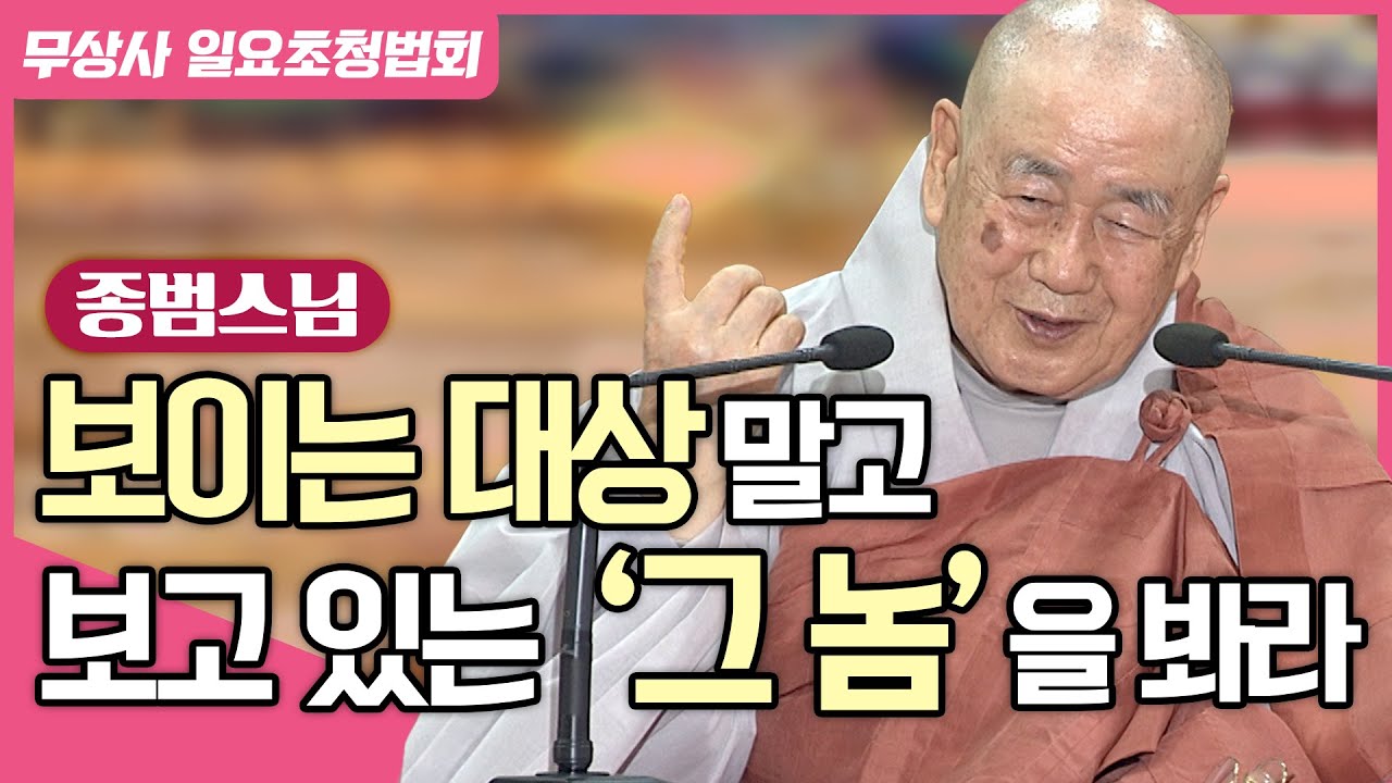 보이는 대상, 들리는 소리가 아니라 그 대상을 보고 듣는 놈을 봐라 #종범스님 #무상사일요초청법회 912회 풀버전