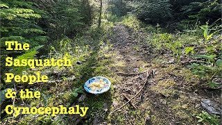 The Sasquatch People and the Cynocephaly