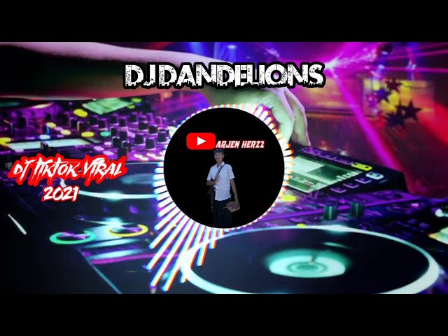 DJ DANDELIONS || VIRAL TIKTOK 2021 class=