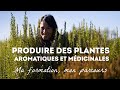 Produire des plantes aromatiques et médicinales : ma formation