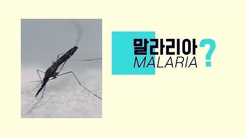 [말라리아] 모기매개 업무담당자편