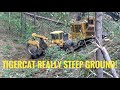 Extreme logging- Derrick cutting trees on a 60% slope, STEEP!