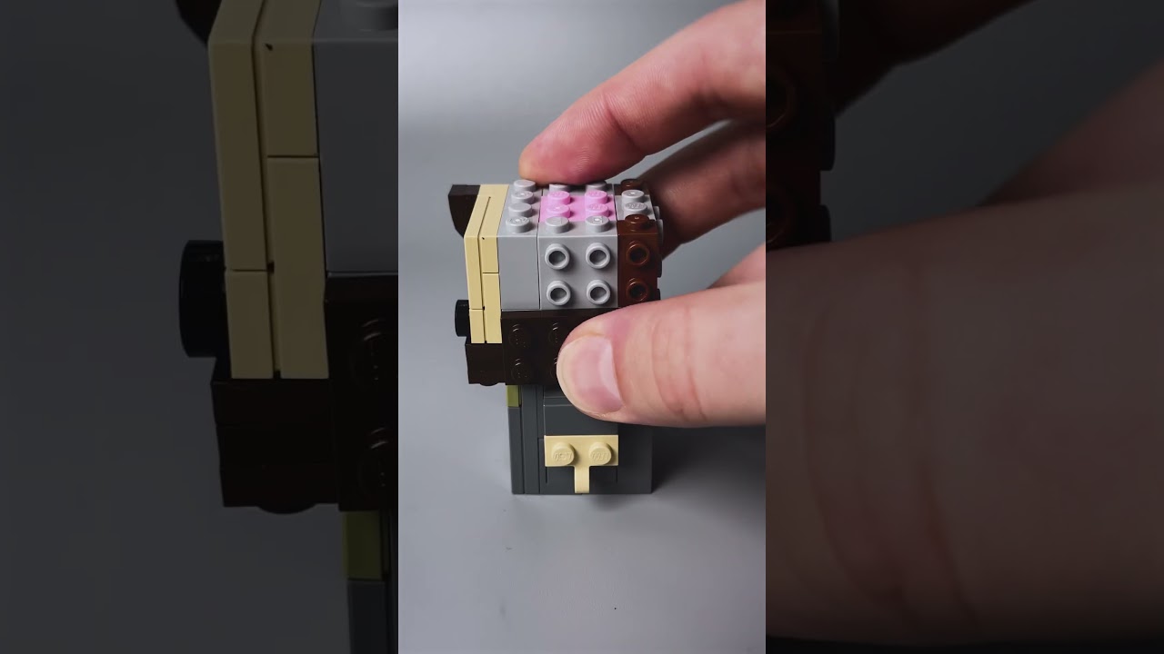 LEGO®  Sirius Black™ 40677 Speed Build : Unleash the Magic