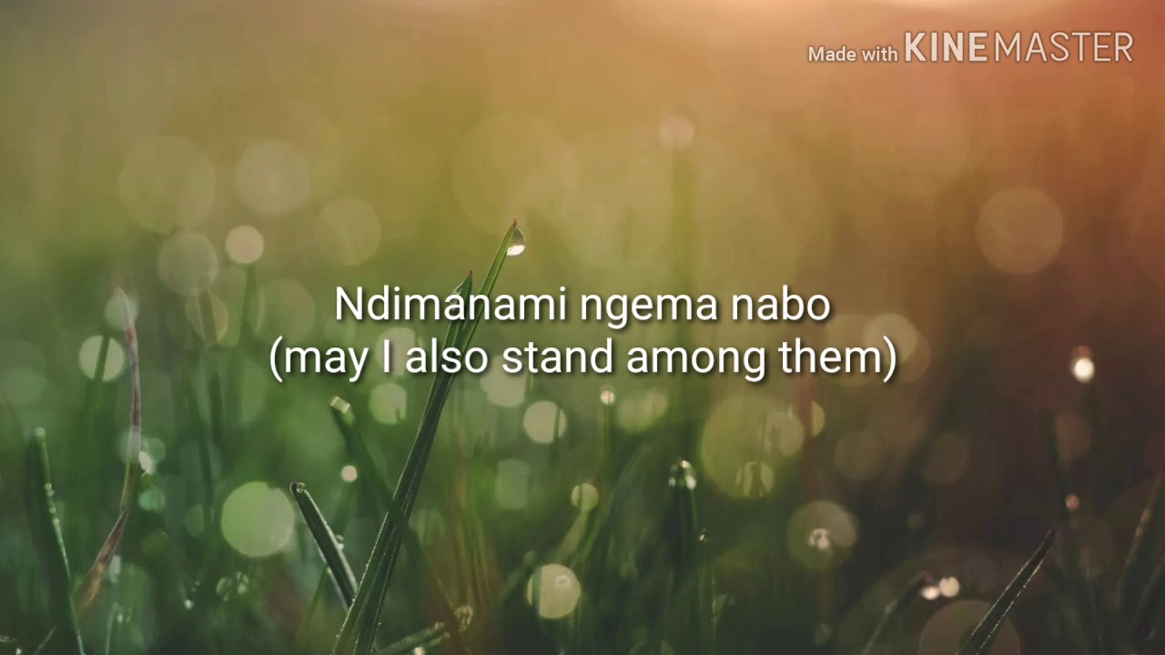 Inyembezi zosuliwe by Dumi Mkokstand Lyrics - YouTube