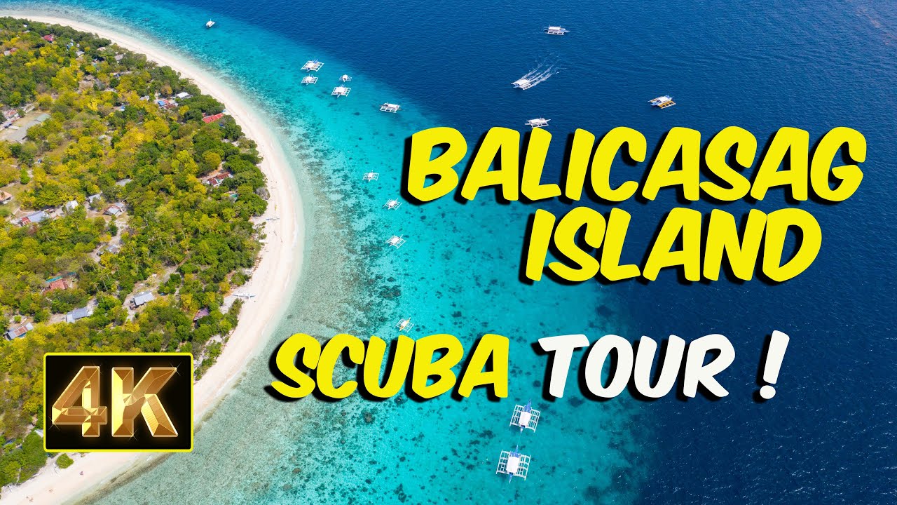 SCUBA DIVE ADVENTURE || BALICASAG ISLAND || BOHOL || PHILIPPINES